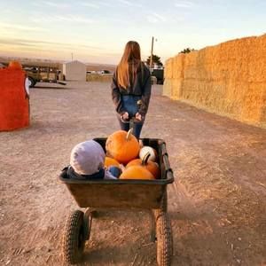 Meet your Posher, Markell